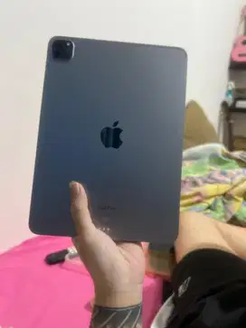 ipad pro m2 inter