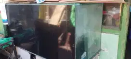 aquarium bekas murah sby ikan predator dan ikan hias