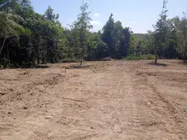 Tanah Yogya, Unit Terakhir, Siap Balik Nama