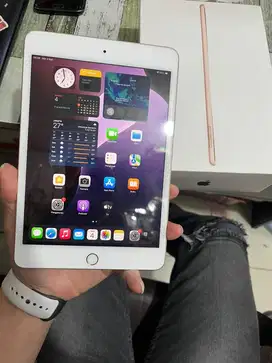 Ipad mini 5 64gb wifi only fullset original no casan aja