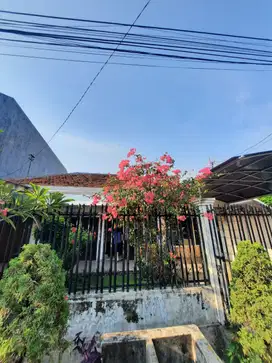 Rumah Siap Huni di Wisma Mukti Dekat Kertajaya, Dharmahusada, Manyar