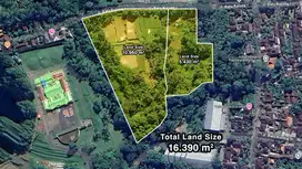 UBUD LAND FOR RENT OR SALE PRIME LOCATION