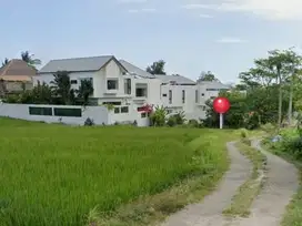 Tanah premium dekat pantai lima prerenan