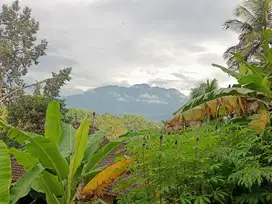 Dijual tanah siap bangun didekat waduk wisata gondang