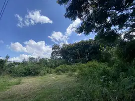 Tanah Dekat UIN Pascasarjana, Lokasi Super Strategis