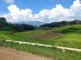Tanah sawah masuk mobil, cikubang pamulihan