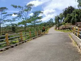 Tanah pinggir sungai dikarangpandan