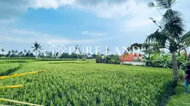 Serene Ricefield View Land in Ubud