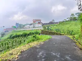 Tanah Cocok Untuk Villa | Udara Dingin | Kawasan Wisata Kemuning