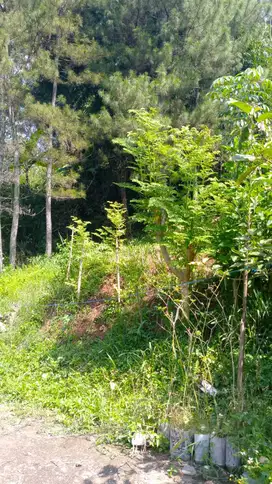 Dijual Tanah Kavling Bukit Pakar Timur  tipe  naik/upslove
