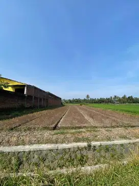 Dijual Tanah Kavling Luas di Pinggir Jl. Raya Banjarejo, Pakis Malang