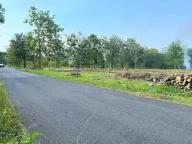 Dijual tanah datar tepi jalan Dpu cocok buat invest/gudang
