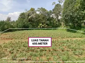DI JUAL TANAH MURAH
