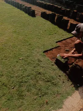 Jual rumput lapangan sepak bola kota magelang