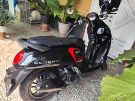 Scoopy 2022 plat AB mulus