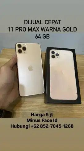 Ip 11 pro max 64 gb warna gold