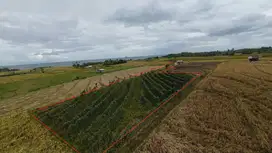 Land for Rent 13.5 Are (TourismZone) Tabanan