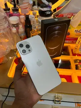 iPhone 12 Pro Max 256 GB Terdaftar Cukai