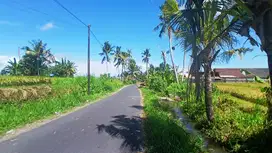 LAHAN 17 ARE ITR PERUMAHAN DI BELEGA - BLAHBATUH - GIANYAR - BALI