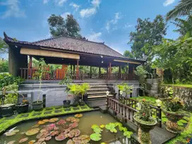 DIJUAL TAMAH BERISI VILLA, BATURITI, TABANAN