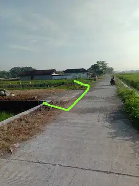 DIJUAL TANAH MURAH DI JLN GODEAN KM 15 MINGGIR SLEMAN