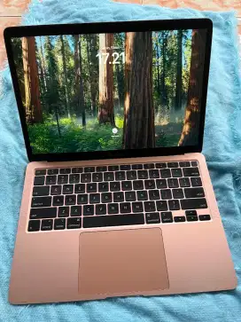 Macbook Air Retina 2020 Rosegold 13 Inch 8/256GB