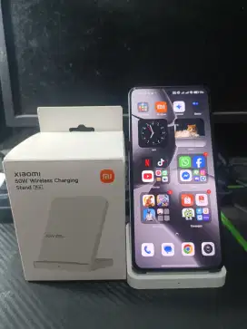 Xiaomi 14T Pro 12/512