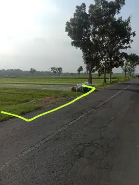 Dijual tanah sawah murah di moyudan Sleman