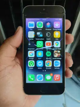Iphone SE 64gb cod solo