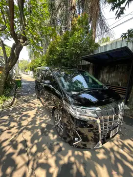 TOYOTA ALPHARD 2.5 G A/T 2020