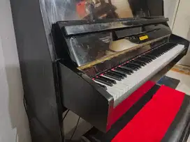 Piano Keluarga Muda Mulus