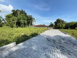 7 Menit Jl Jogja Solo Tanah Kalasan 300 Jtan Cocok Huni