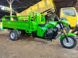 Viar 200 long no minus