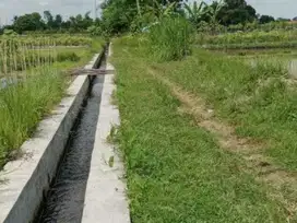 Dijual tanah sawah di mlati Sleman Yogyakarta
