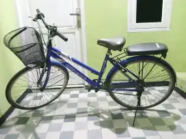 SEPEDA KERANJANG
