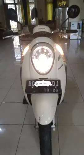 Honda Scoopy stylish 2013
