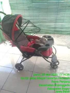 Di jual stroller bekas