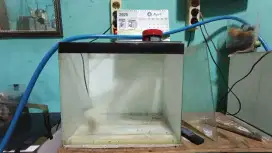 Jual aquarium masih bagus