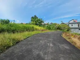 Jual Tanah Luas 420 M² Di Buduk Dekat Canggu