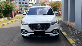 [ LOW KM ] MG Morris Garage HS Magnify X i-Smart 1.5 TGI AT 2021/2022