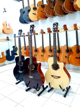 Gitar akustik apx 500ii