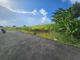 dijual tanah komersil voew sawah & sungai lokasi buduk