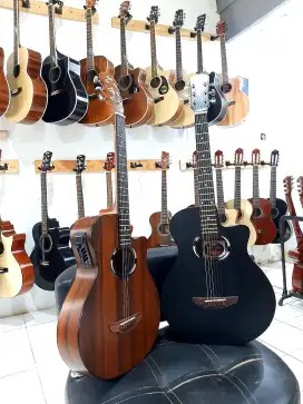 Gitar akustik elektrik apx