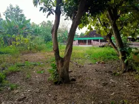 Dijual tanah SHM luas 253m Lok strategis