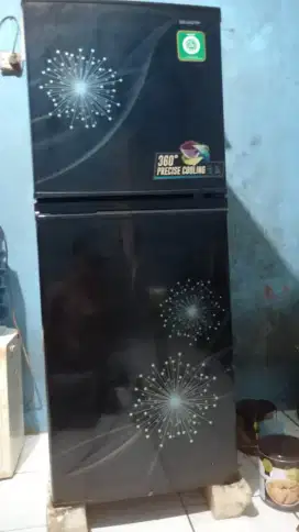 Kulkas shap 2 pintu