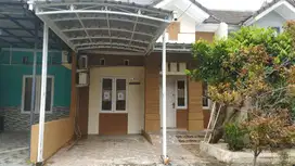 Sewa Rumah  cluster padova