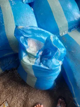 Garam krosok/kasar 1 karung