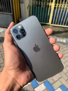 Iphone 12 pro 256 gb beacukai