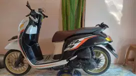 Honda scoopy 2019