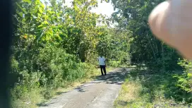 Jual tanah posisi datar penuh pohon jati